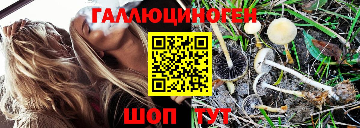 Галлюциногенные грибы GOLDEN TEACHER Знаменск